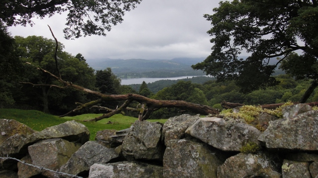 ??????????????????????