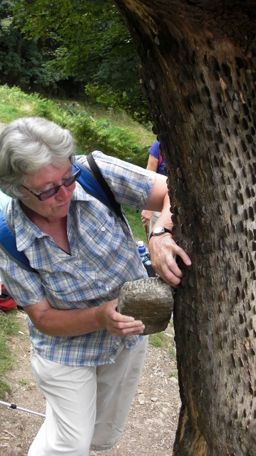 Wendy tapping in the Pennies