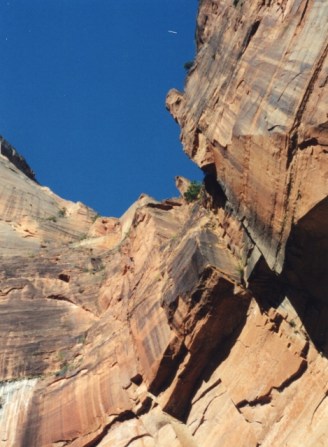 Zion weeping rocks (469x640)