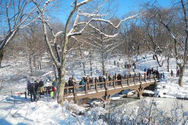 Central Park snow