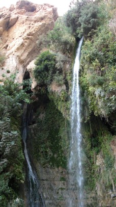 70 Top of Ein Gedi