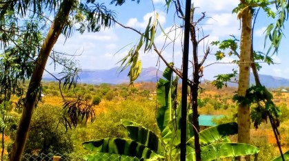 Kenya view1