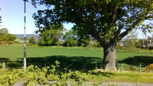 IMG_20170525_104826 (1)