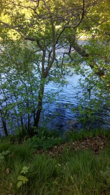 IMG_20170526_184135 (1)